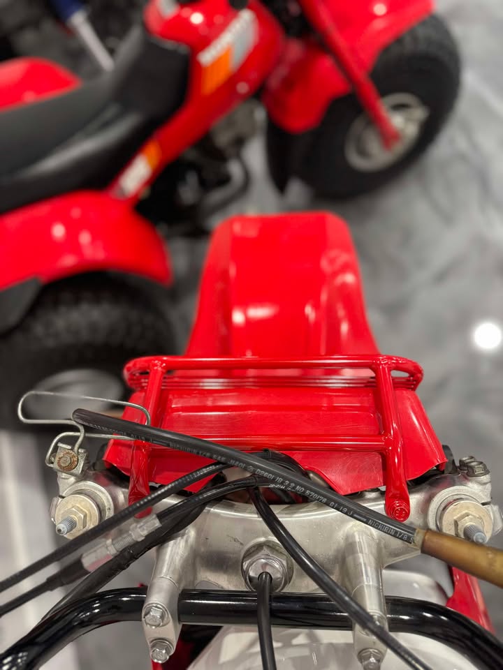 1985-1986 Honda ATC350X Headlight guard With Cross guards.